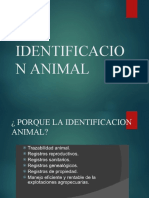 Identificacion Animal