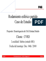 Case Study Brazil CVRD Español