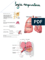 Fisiología Respiratoria