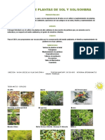 Catalogo de Plantas de Sol.