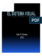 2018 Ferreres Teorico 7 Sistema Visual
