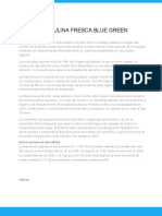 Blue Green Documento Informativo