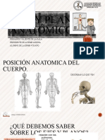 Clase 1 Anatomia Medihelp