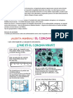 Proyecto Coronavirus