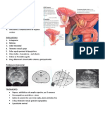 Prostatitis y Gangrena