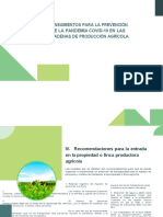 Aporte Marcelo Rivera Covid-19 Producción Agrícola