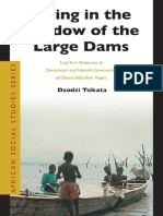 Dzodzi Tsikata - Living in The Shadow of The Large Dams - Long Term Responses of Downstream and Lakeside Communities of Ghana's Volta River Project (African Social Studies Series) (2006)