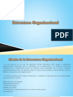 Diseno y Tipos de Estructura Organizacio