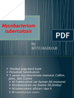 Mycobacterium tuberculosis: Penyebab Tuberkulosis