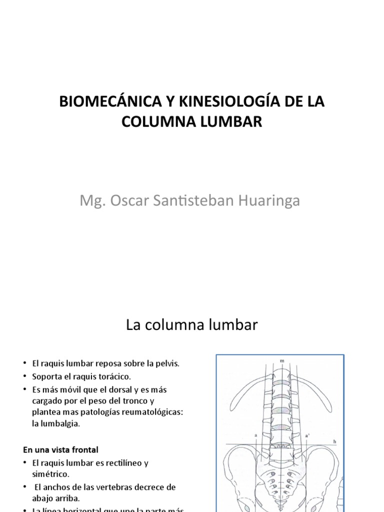 Biomecánica de la Columna Lumbar | PDF | La columna vertebral | Vértebra