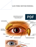 Gambar Pemeriksaan Fisik Sistem Indera