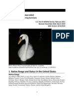 Mute Swan (Cygnus Olor) : Ecological Risk Screening Summary