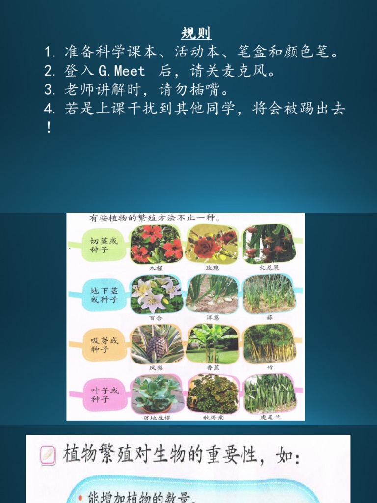 10 7 3年级科学植物的繁殖技术 Pdf