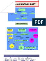 Metabolisme karbohidrat: Glukosa, glikolisis, glikogen