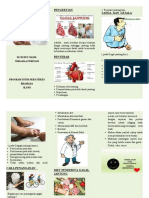 Leaflet CHF