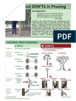 DO's and DON'Ts in Pruning