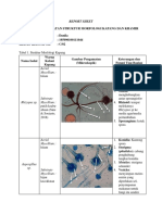 Danila - REPORT SHEET TOPIK 5