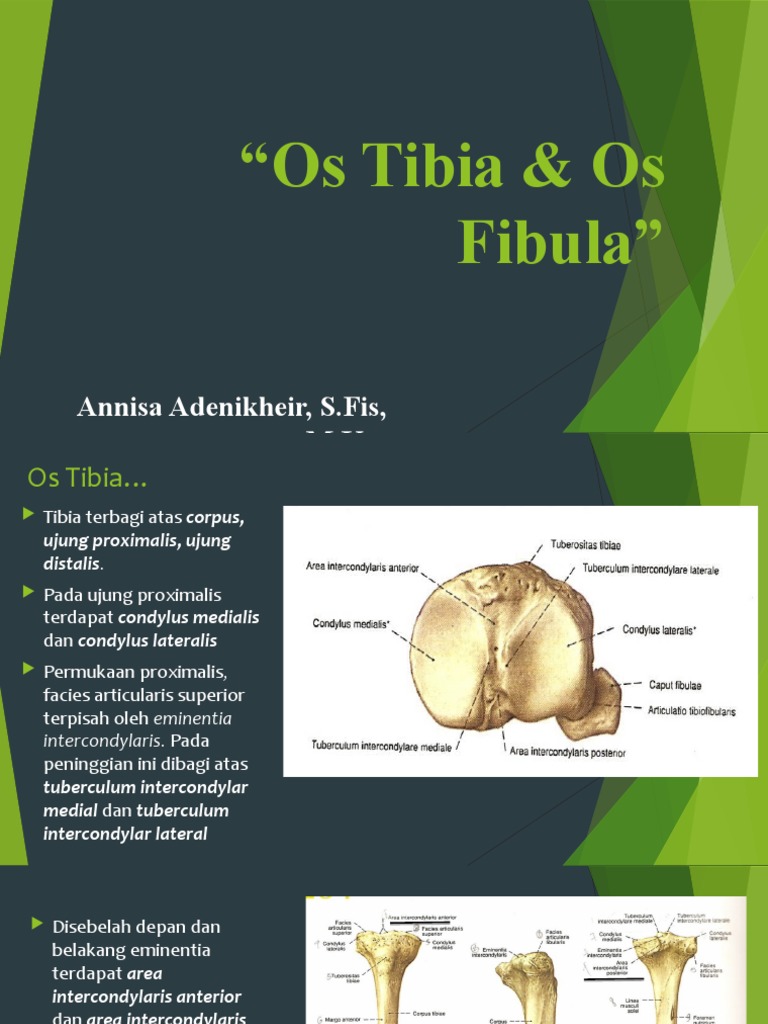 Tibia Dan Fibula | PDF