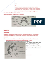 Recapitulare Anatomie Si Fiziologie Aparat Genital Feminin