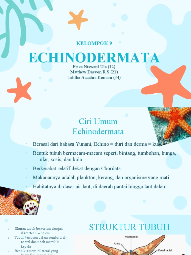 Echinodermata Kel 9 | PDF | Sains & Matematika