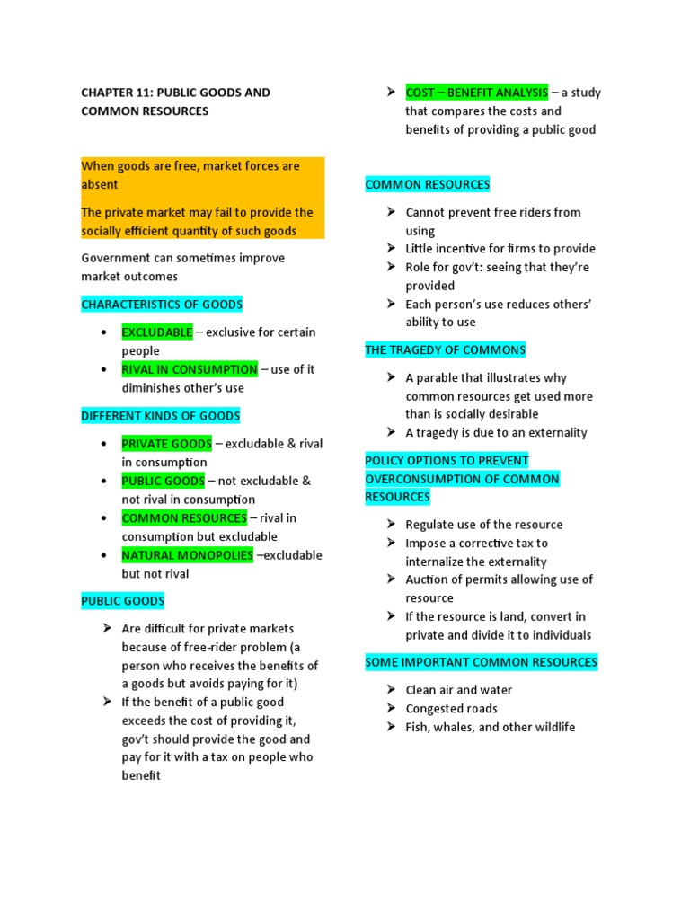 Chapter 11 Public Goods and Common Resources | PDF | Externality ...