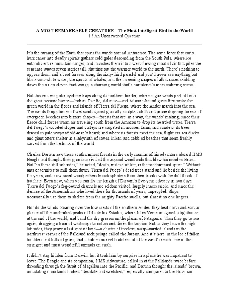 Excerpt From 