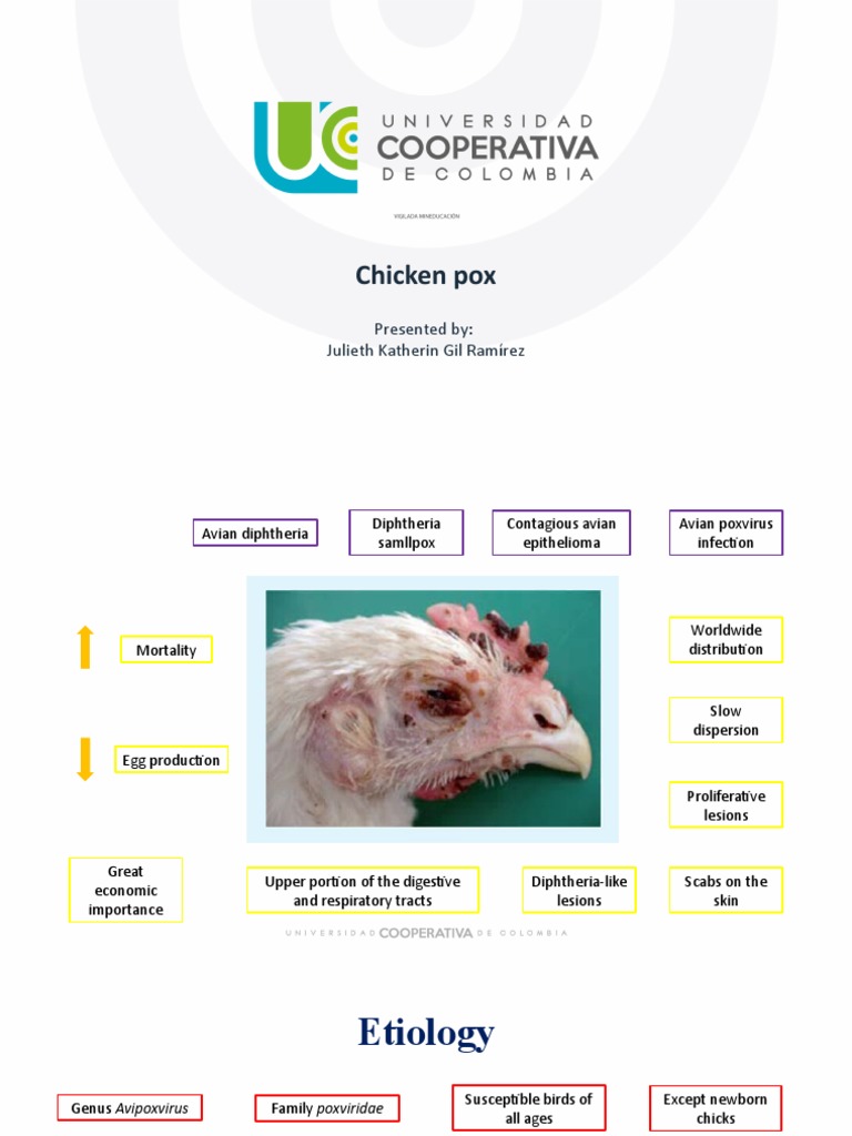 Chicken Pox: Presented By: Julieth Katherin Gil Ramírez | Download Free
