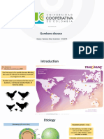 Gumboro Disease: Daissy Vanessa Diaz Guerrero - 542874