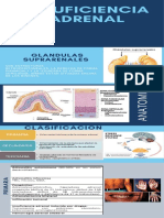 Insuficiencia Adrenal