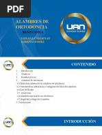 Seminario Alambres Biomecanica