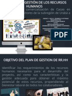 Plan de Gestion de Recursos Humanos_Luis Alfredo Guerra (1)
