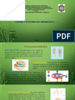 Diapositivas Unidad 3 Bioquimica Grecia Peralta