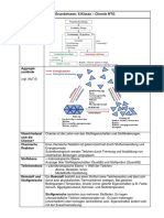 Klasse 08 - NTG - Grundwissen Chemie