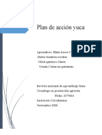 Cómo cultivar yuca de forma rentable en 1 hectárea