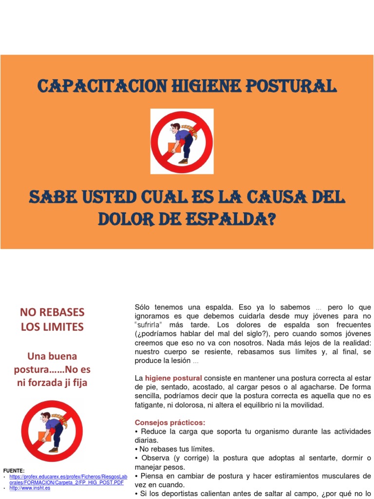 Higiene Postural para Evitar Dolor Espalda | PDF | Dolor lumbar ...