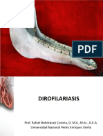 Dirofilariasis