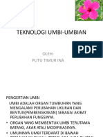 Teknologi Umbi-Umbian: Oleh: Putu Timur Ina