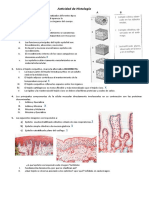 Actividad - Histologia Gisella