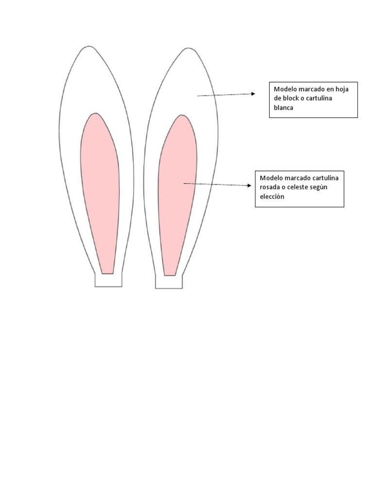 Modelo Orejas de Conejo | PDF, image size:768x1024