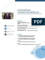 CV David Vasquez