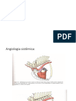 Aula+2+-+Anatomia+CArdiovascular+Angiologia