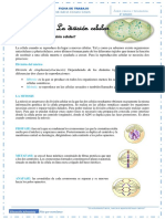 6 Semana CIENCIA Y TECNOLOGIA