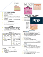 Chapter 9: Skin and ITS APPENDAGES: (Vital Organs)