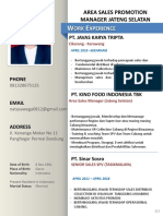 CV Ari Garnida PDF