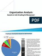Organization Analysis (Example)