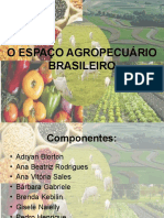 O Espaço Agropecuário Brasileiro