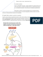 El Hígado y El Azúcar en Sangre - Diabetes Education Online