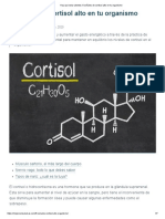 Hay Que Estar Atentos - 6 Señales de Cortisol Alto en Tu Organismo