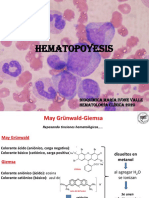 Hematopoyesis Morfología MV
