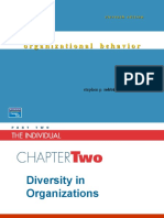 2 Diversity in Organizations